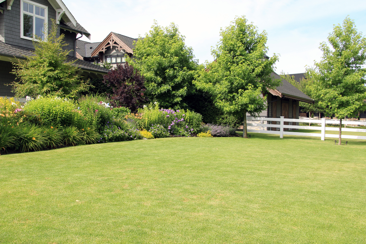 Beautiful Backyard