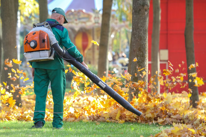 Lawn Blowing