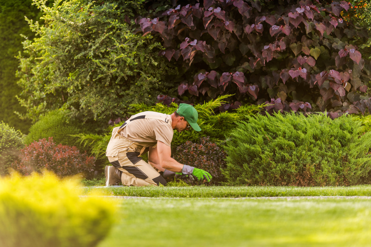 Garden Work